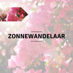 Zonnewandelaar - Ontspanning en Harmonie