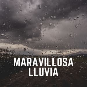 Maravillosa Lluvia - Ruido de Lluvia