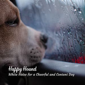 Happy Hound: White Noise for a Cheerful and Content Dog - Static White Noise Sounds