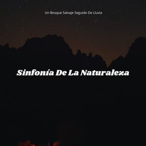 Sinfonía De La Naturaleza: Un Bosque Salvaje Seguido De Lluvia - Sonido Del Bosque y Naturaleza