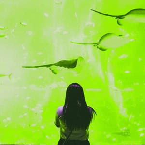 Feelings for Reading Platforms - Relaxing Lo Fi