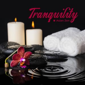 Tranquility Asian Zen - Spa Music Meditation and Healing Flute Music - Bali Spa Project