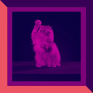 Tenor Sax Solo - Cat Music Hour