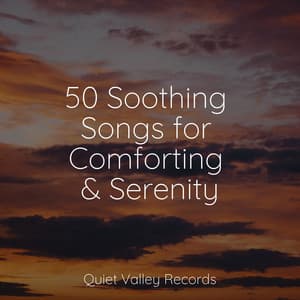 50 Soothing Songs for Comforting & Serenity - Chakra Meditation Universe