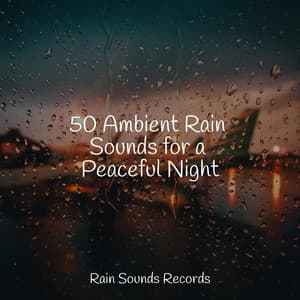 50 Ambient Rain Sounds for a Peaceful Night - PowerThoughts Meditation Club