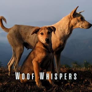 Woof Whispers: Gentle Ambient Sounds for a Stress-Free Dog - Pure Ambient Music