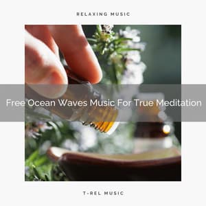 Free Ocean Waves Music For True Meditation - Spiritual Relax