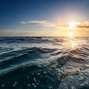 Vibraciones Musicales Lofi: Melodías Armónicas Profundas - Hip-Hop Chill Beats