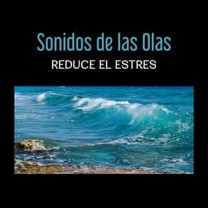 Sonidos de las Olas – Reduce el Estres, Encontrar Libertad, Sentirse Relajado, Olvidarse de Todos los Problemas - Océano serenidad