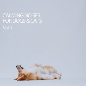 Calming Noises For Dogs & Cats Vol. 1 - Music For Dogs With Anxiety
