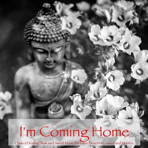 I'm Coming Home – Chakra Healing Slow and Sweet Music for Guru Devotion, Grace and Mantra - Swami Drishti Tratakauram