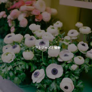 ソフトジャズと植物 - Work from Home Background Music