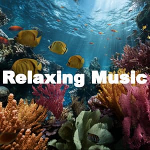 ! ! ! ! Deep Relaxing Ocean - Música Relajante