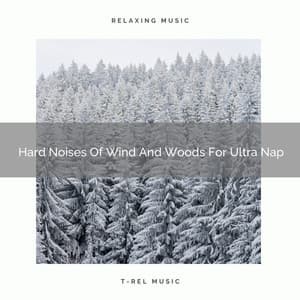 Hard Noises Of Wind And Woods For Ultra Nap - Sleep Dimension