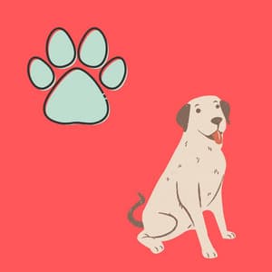 Piano Duo and Alto Saxophone - Bgm for Monday Puppy Playtime - Calm Dog Music