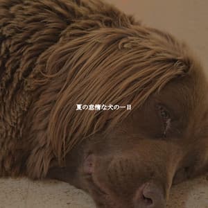 夏の怠惰な犬の一日 - Brazilian Jazz Deluxe