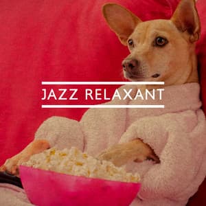 Jazz relaxant. Matin avec musique et café. Détente et repos - Piano bar musique masters
