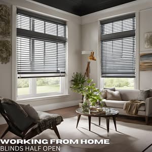 Blinds Half Open - Working from Home