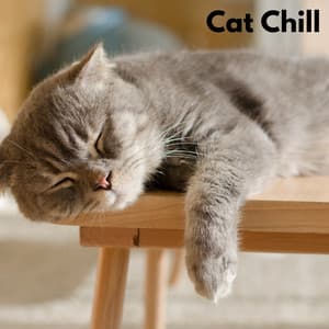 Cat Chill - Musique Relaxante pour Chats