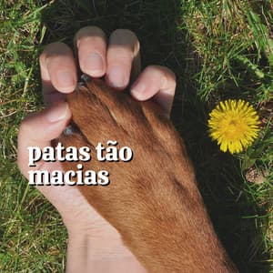 Patas Tão Macias - Música de Cachorro Calmante