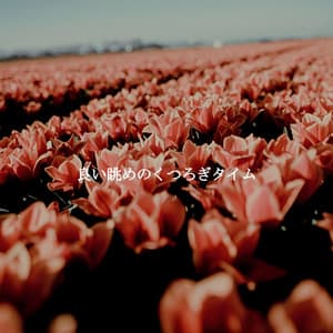 良い眺めのくつろぎタイム - Weekend Morning Jazz