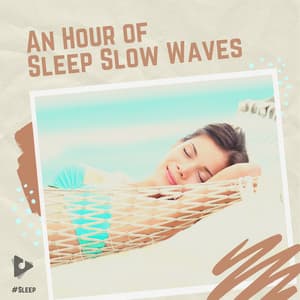 An Hour of Sleep Slow Waves - #Sleep