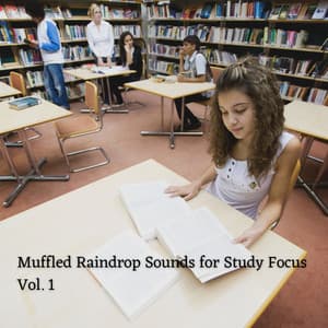 Muffled Raindrop Sounds for Study Focus Vol. 1 - Precip