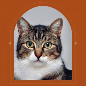 Quiet Quartet Jazz - Ambiance for Classic with Cats - Calming Music for Cats