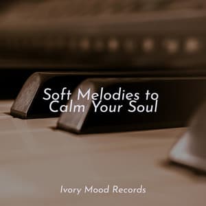 Soft Melodies to Calm Your Soul - Ivory Mood