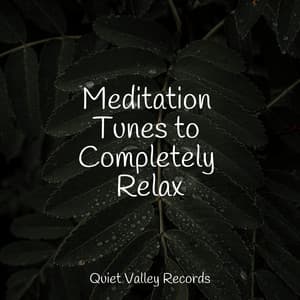Meditation Tunes to Completely Relax - Deep Sleep Brown Noise