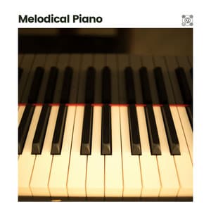 Melodical Piano - Piano for Studying