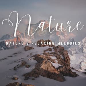 Massage Magic: Nature's Relaxing Melodies - Spa Station