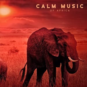 Calm Music of Africa - African Sound Therapy Masters