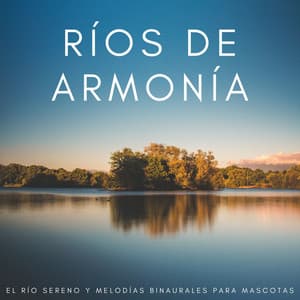 Ríos De Armonía: Melodías De Piano Ambiental Para Perros Alegres - Colección Piano Jazz