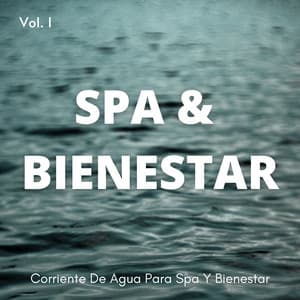 Corriente De Agua Para Spa Y Bienestar Vol. 1 - Camino del agua