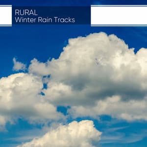 Rural Winter Rain Tracks - Big Sounds