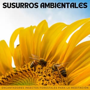 Susurros Ambientales: Encantadores Insectos Forestales Para La Meditación - Sonido de la naturaleza