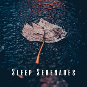 Sleep Serenades: Rain on Puddle with Peaceful Thunder - Deep Sleep Rain & Thunder
