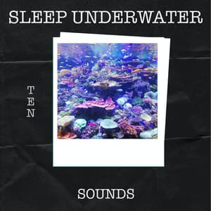 10 Sleep Underwater Sounds - White Noise Sleep Sounds