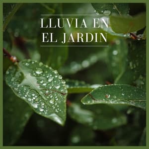 Lluvia en el Jardin - Relajación Natural Maestro