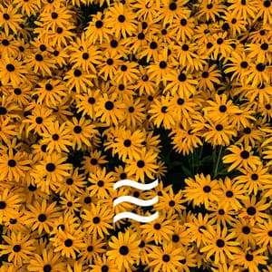 Babies Calm and Soothing Smooth Water Sounds - Sea Waves Sounds for Babies