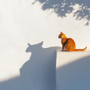 猫の夢世界：ブラウンノイズの静けさ - Cat Music Hour