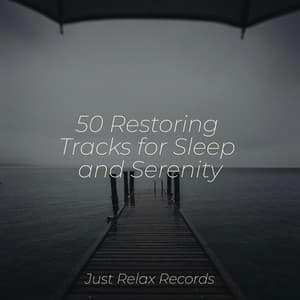 50 Restoring Tracks for Sleep and Serenity - Best Relaxing SPA Music