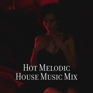 Hot Melodic House Music Mix – Sensual Ambience Bgm - Melodic House Machine