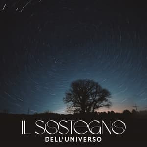 Il sostegno dell'universo: Sentire la guida verso la pace mentale - Meditazione guidata universo