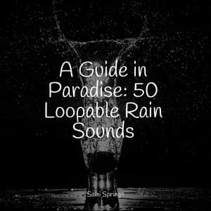 A Guide in Paradise: 50 Loopable Rain Sounds - Rain
