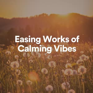 Easing Works of Calming Vibes - Baby Sleeping Music