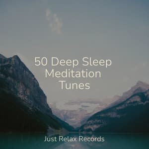 50 Deep Sleep Meditation Tunes - Bedtime Baby