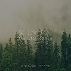 50 Calming Nature Beats - Spa Relaxation & Spa