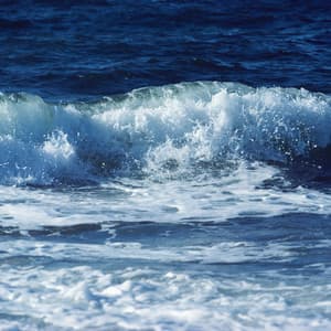 Melodies of the Tides: Songs from Oceanic Tranquility - When Waves Cry